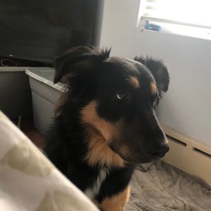 Meet your Posher, Anthony